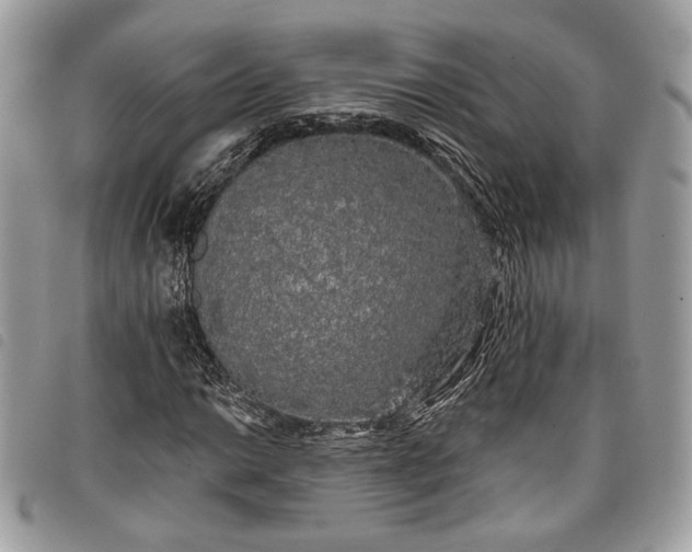 X0000098011014200804071322