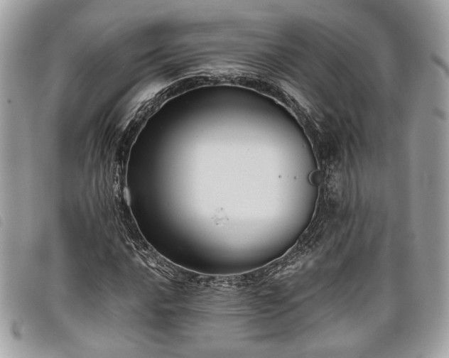 X0000098011016200804071322