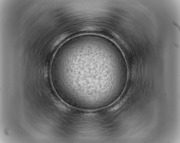 X0000098011017200804071322