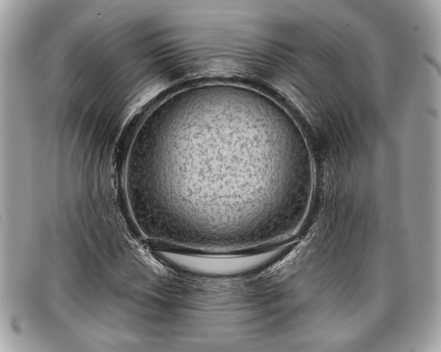 X0000098011018200804071322