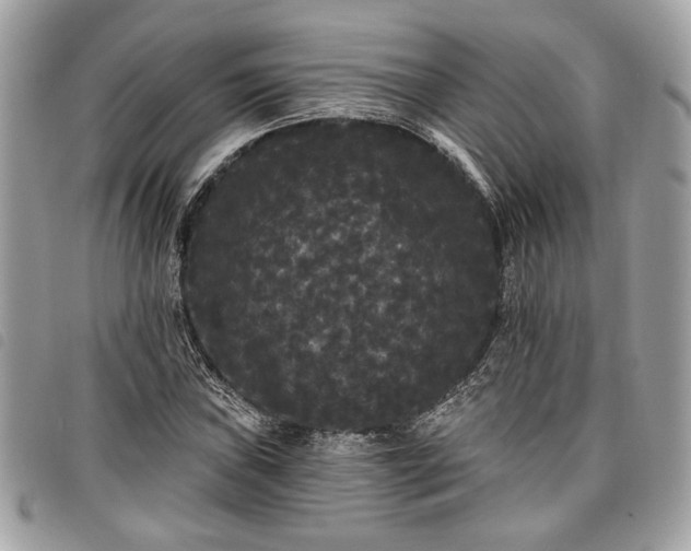 X0000098011019200804071322