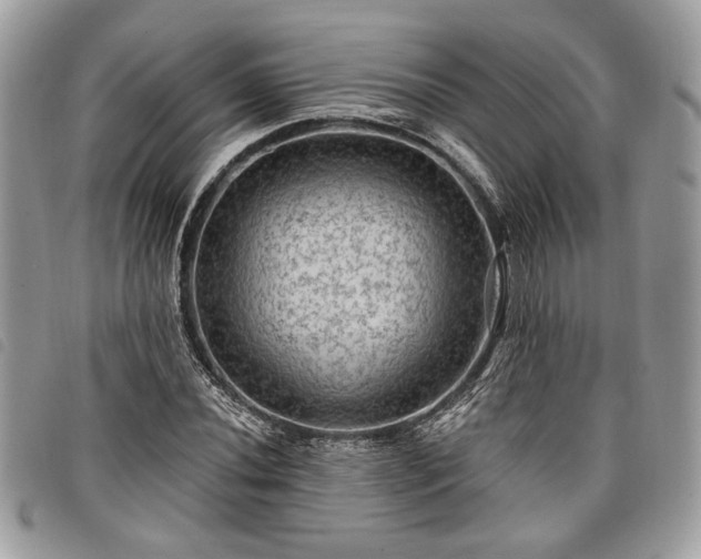 X0000098011020200804071322