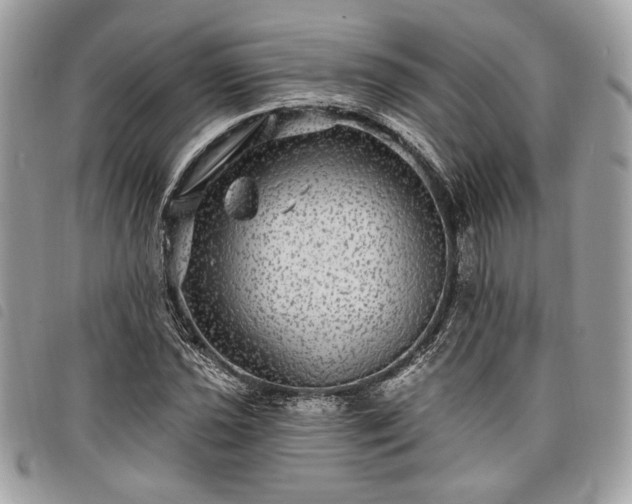 X0000098011021200804071322