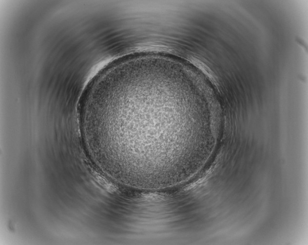 X0000098011022200804071322