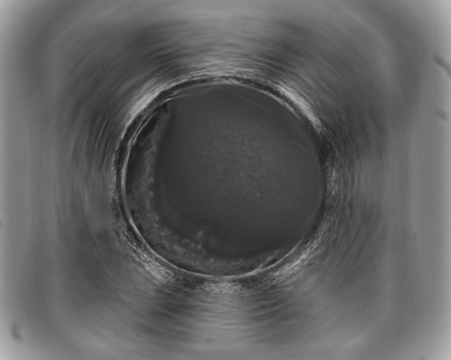 X0000098011023200804071322