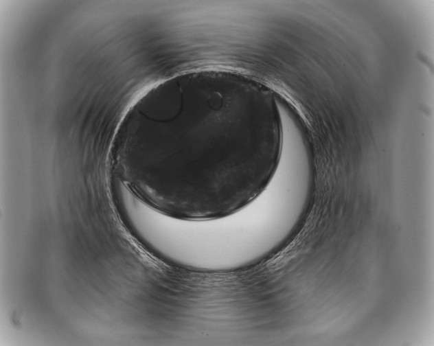 X0000098011024200804071323