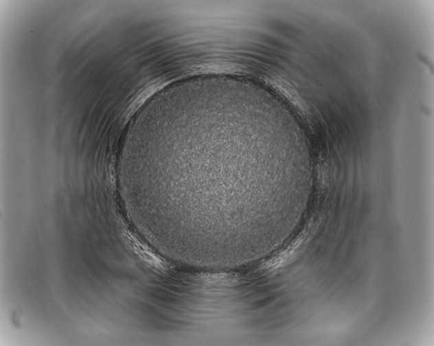 X0000098011025200804071323