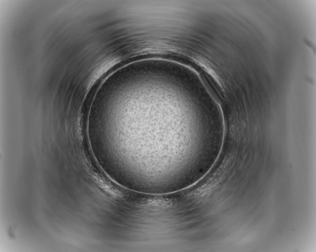 X0000098011026200804071323