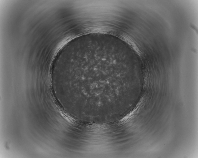 X0000098011027200804071323