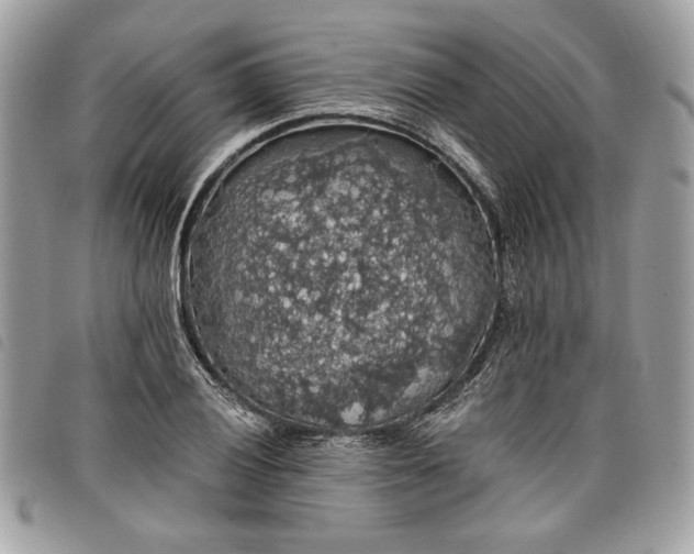 X0000098011028200804071323