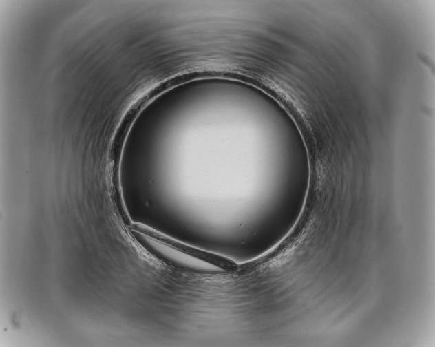 X0000098011029200804071323