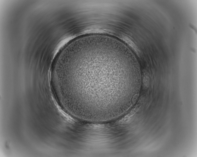 X0000098011030200804071323