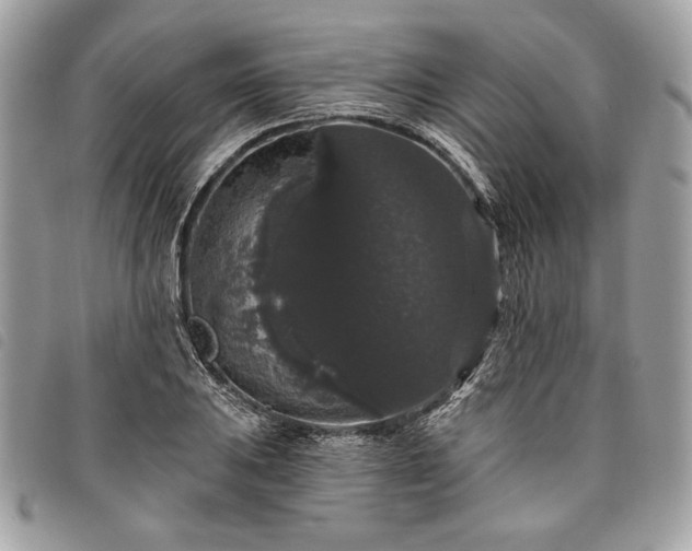 X0000098011031200804071323