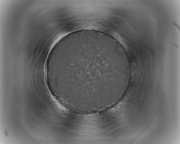 X0000098011032200804071323