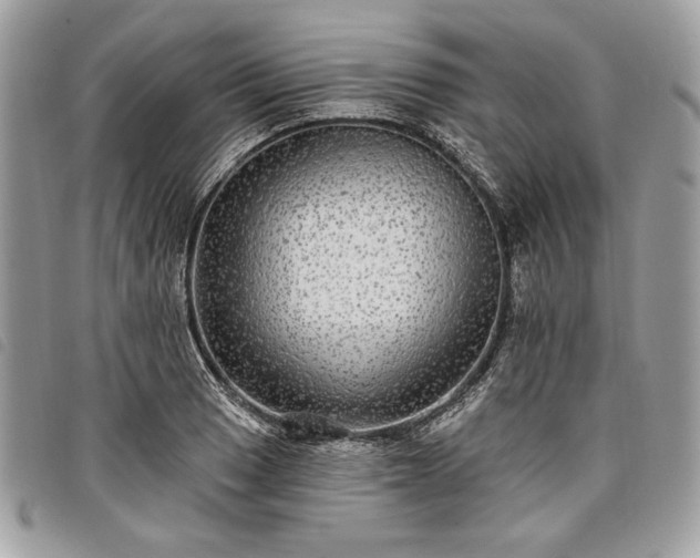 X0000098011033200804071323