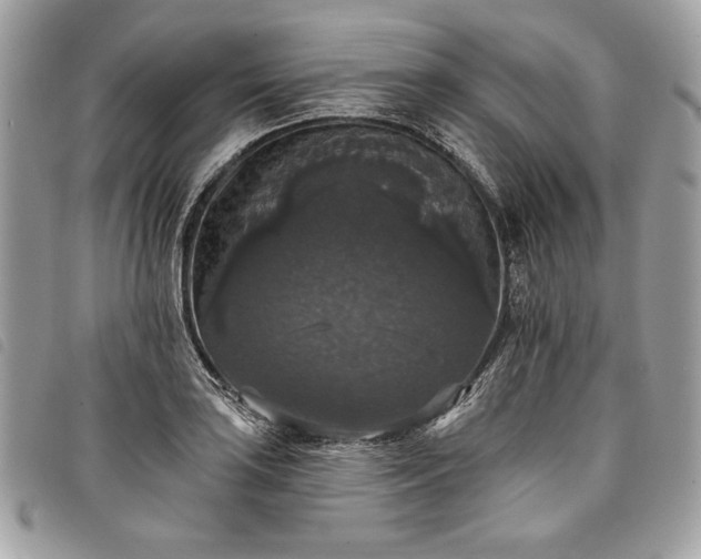 X0000098011035200804071323