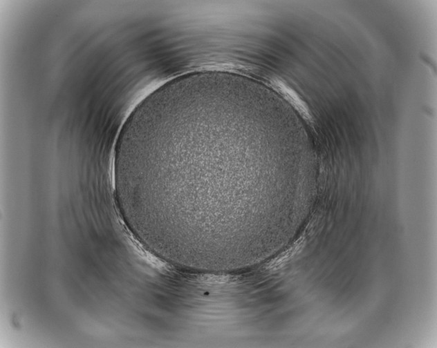 X0000098011036200804071323