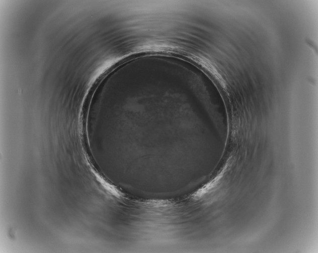 X0000098011037200804071323