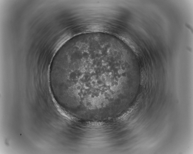 X0000098011039200804071323