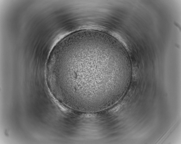 X0000098011040200804071323