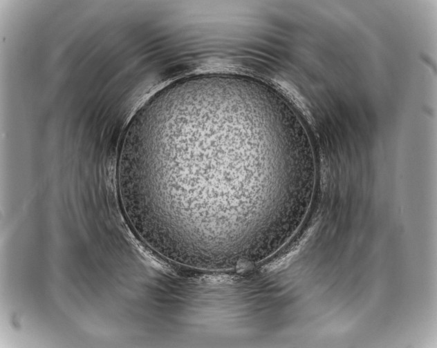 X0000098011041200804071323