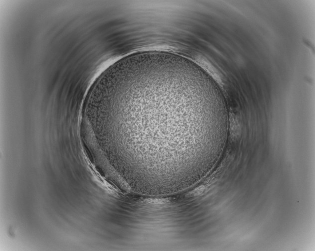 X0000098011044200804071323