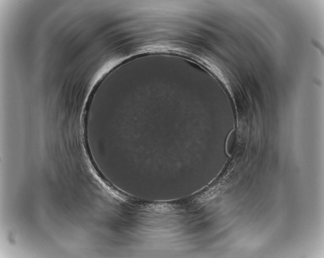 X0000098011045200804071323