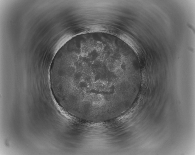 X0000098011047200804071323