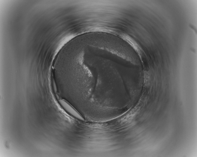 X0000098011048200804071323