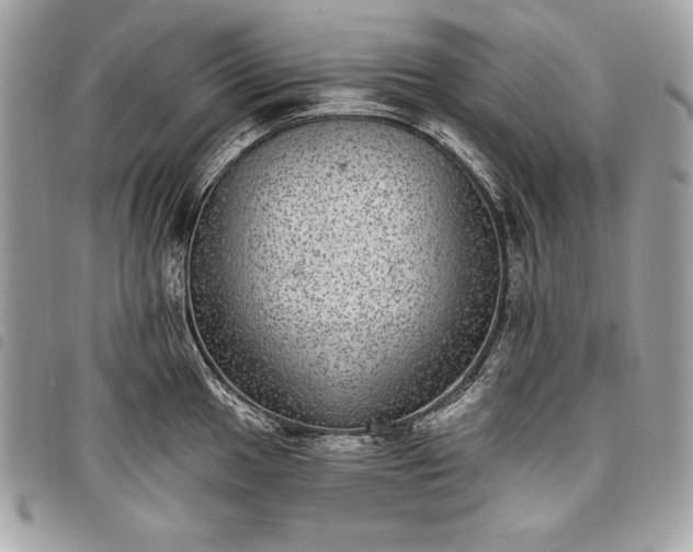 X0000098011049200804071323