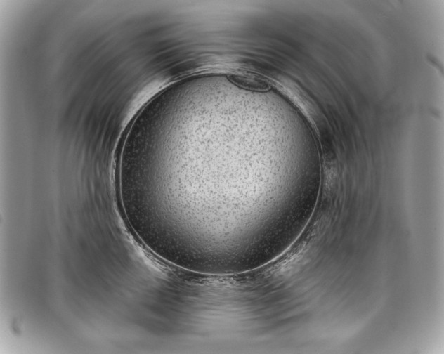 X0000098011050200804071323