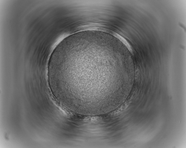 X0000098011051200804071323