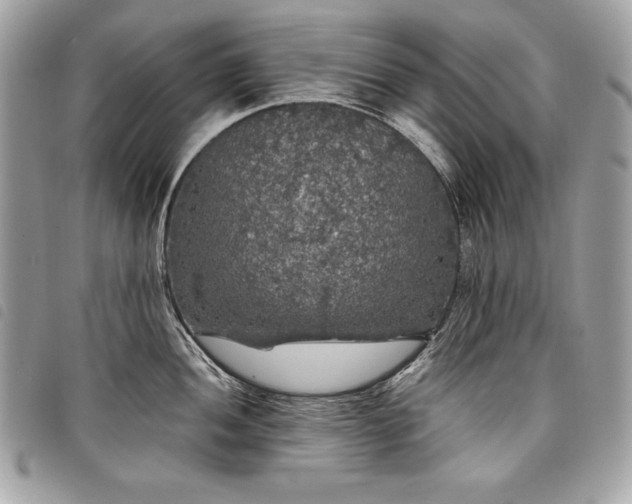 X0000098011052200804071323