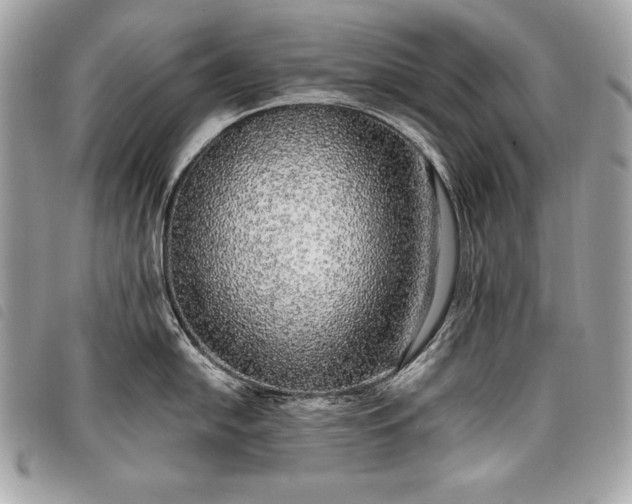 X0000098011054200804071323