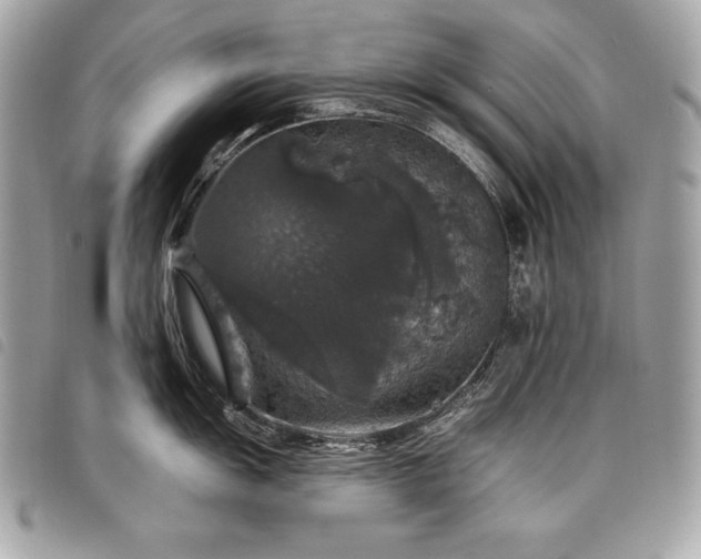 X0000098011055200804071323