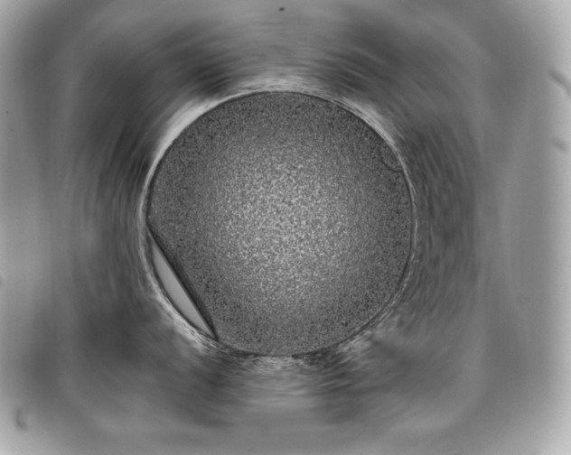 X0000098011056200804071323