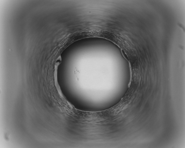 X0000098011057200804071322