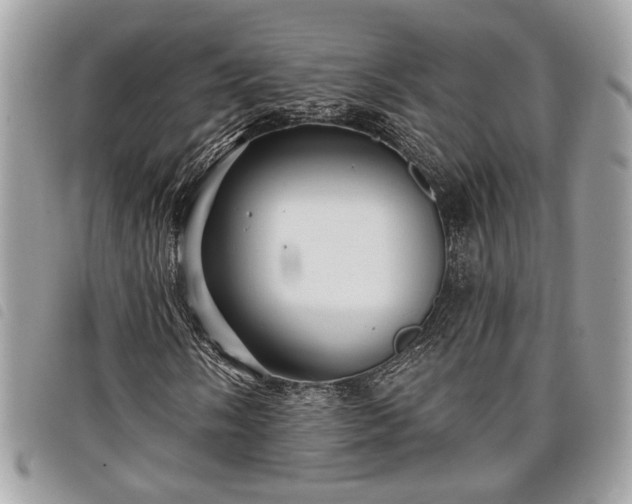 X0000098011058200804071322