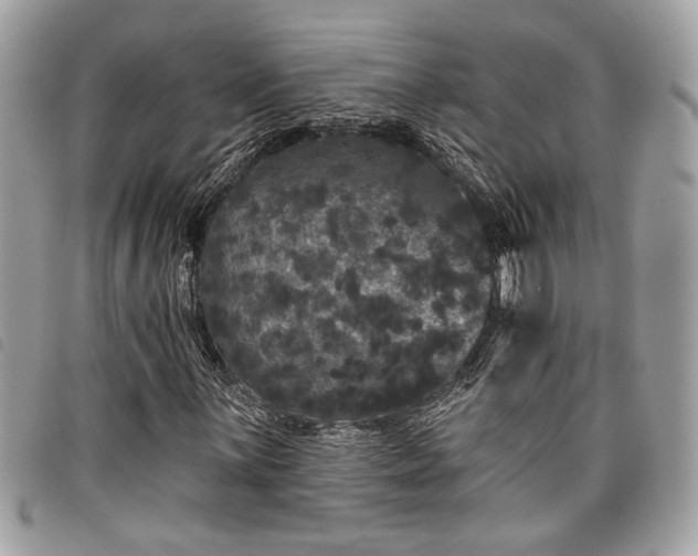 X0000098011059200804071322