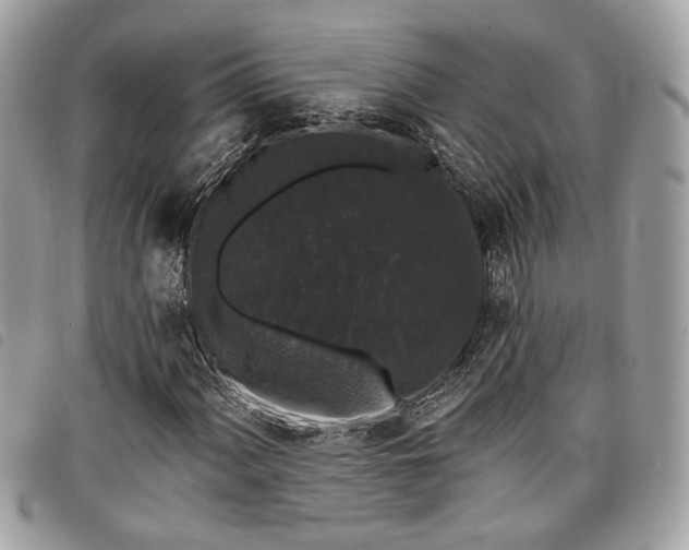 X0000098011060200804071322