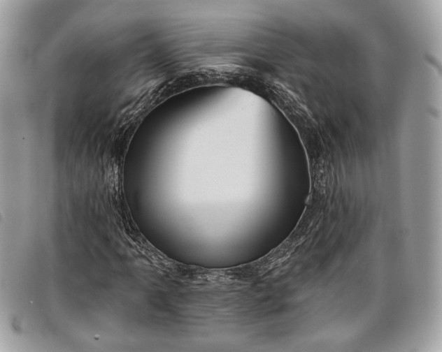 X0000098011061200804071322