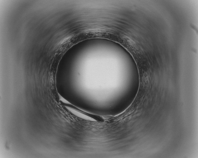 X0000098011062200804071322