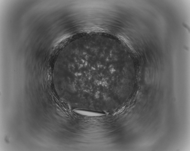 X0000098011063200804071322