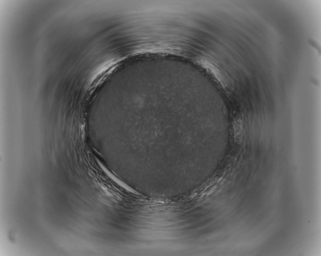 X0000098011064200804071322