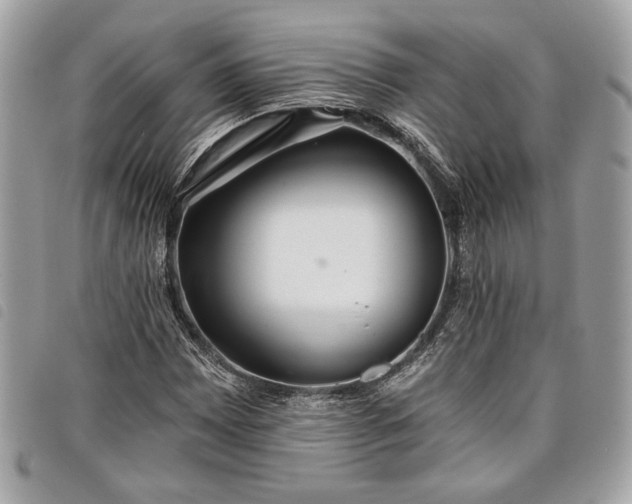 X0000098011065200804071322