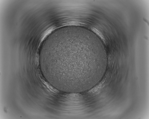 X0000098011067200804071322