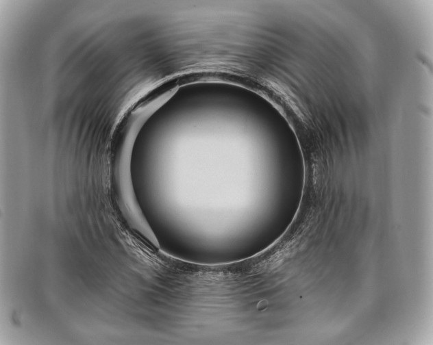 X0000098011069200804071322