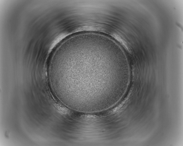 X0000098011070200804071322