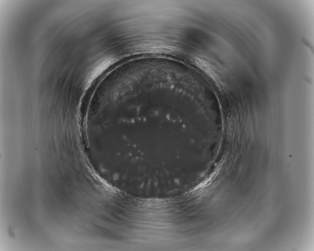 X0000098011071200804071322