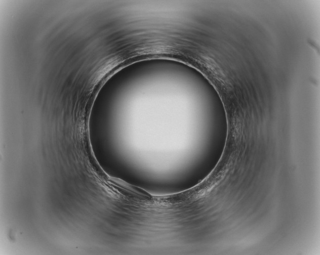 X0000098011073200804071322